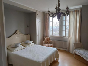 Chambre grise dans une demeure du 16ème à Saumur comprenant cuisine équipée